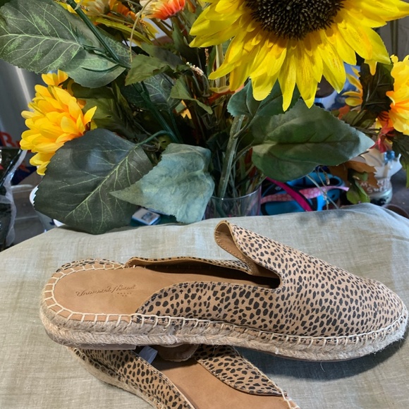 Slides - Picture 2 of 2